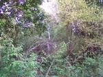 17603100_2540.JPG
