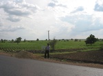 9416gt85b_mix_of_gn_cotton_sf_maize.gif