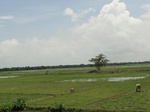 22110DSC00351.JPG