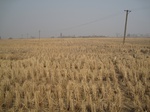 8431IMG_0256.JPG
