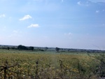 56197CIMG6914.JPG