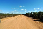 28483P1010494-1.JPG