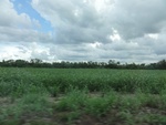 24821DSC00990.JPG