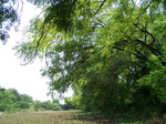 1778024042008(39).JPG