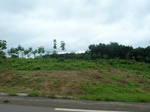 25498P1020343.JPG