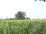 17335100_2021.JPG
