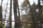 365IMG_3474.JPG