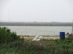 53828CIMG0377.JPG