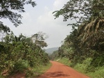 49059CIMG5396.JPG
