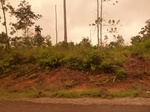 54832Berau (122).JPG