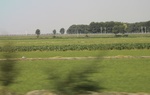 2024-08-05_14-31-41_D1DA1199-0D77-490E-8D5D-83083B5912EA_1_201_a.jpeg