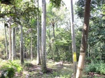 13944IMG_4234.JPG