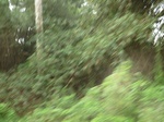 47483CIMG3820.JPG
