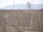 534402052008(7).JPG