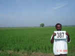 133740387c-irrigated-supplemental-lift-irrigation-rice.gif