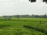 24544DSC00745.JPG