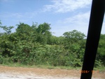 8910nigeria 122.jpg