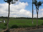 31012CIMG0874.JPG