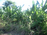 33568RIMG0233.JPG