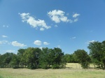 35193DSC02398.JPG