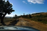 28520P1010532-1.JPG