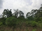 49643CIMG5980.JPG