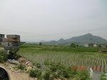 53928CIMG3672.JPG