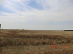 29873CIMG1366.JPG