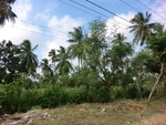 30931CIMG0791.JPG