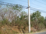 27814IMG_4707.JPG