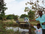 6296057b-irrigated-surfacewater-canal-largescale-rice-dominant-doublecrop.jpg
