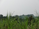 50348CIMG0977.JPG