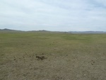 22216P1010235.JPG