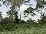 49395CIMG5732.JPG