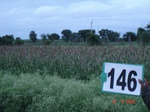 125390146d-irrigated-supplemental-groundwater-plantation-banana-dominant-sapota-millet.gif