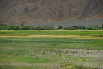 27407DSC_6915.JPG