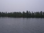 4752007-08-05_09-49-02_small.jpg