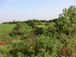 38862CIMG4305.gps.jpg