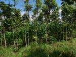 31542CIMG1408.JPG