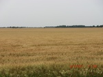 29612CIMG0880.JPG