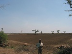 7825gt050b-soils-black-cotton.jpg