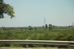 2024-08-05_14-06-57_1A38BC8C-F548-4B34-A669-28C5BB1CE932.jpeg