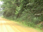 48814CIMG5151.JPG