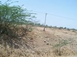 1766222042008(43).JPG