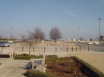 10058DSC02784.JPG