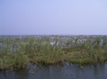 631R0015139.jpg