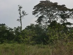 49953CIMG6290.JPG