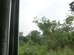49864CIMG6201.JPG