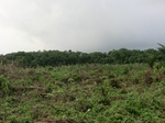 45328CIMG2413.JPG