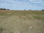 26148P1060833.JPG